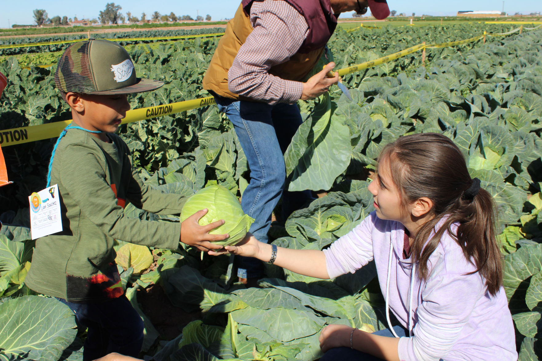 Farm to preschool